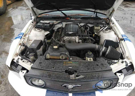 2006 Ford Mustang Gt z USA, uszkodzony, nr VIN 1ZVFT82H665165434